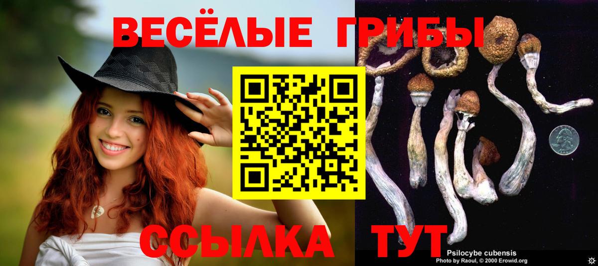 Псилоцибиновые грибы мицелий  Псилоцибиновые грибы мицелий  Можайск  Вход с VPN 